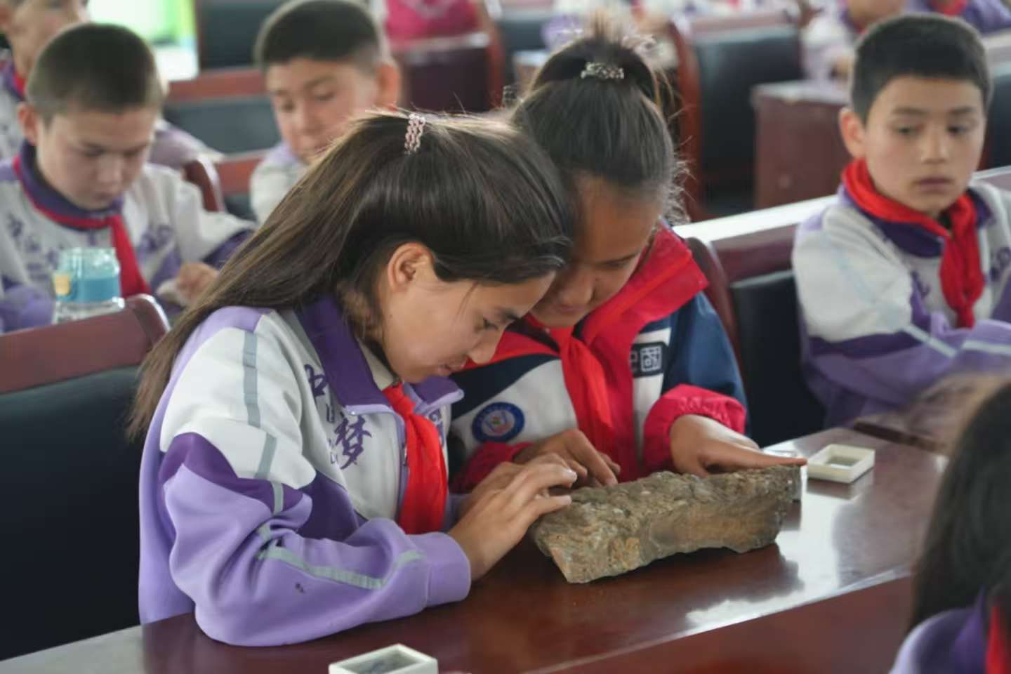 d64bb07815541ad19b044c49c1a78b15